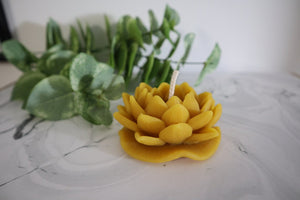 Beeswax Lotus Flower Candle